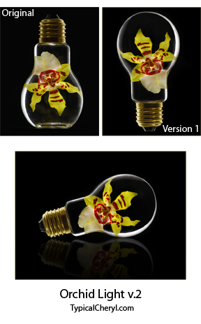 Orchid light_evolution